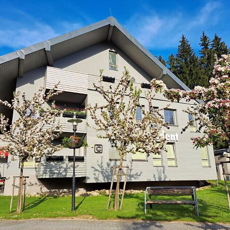 Resident Harrachov Family Apartment Εξωτερικό φωτογραφία